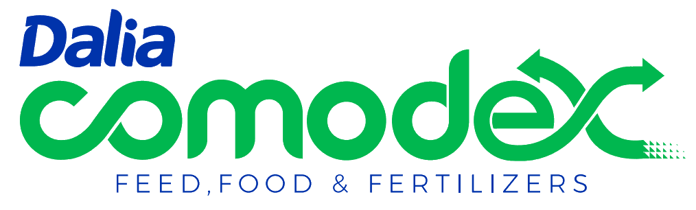 Comodex Logo